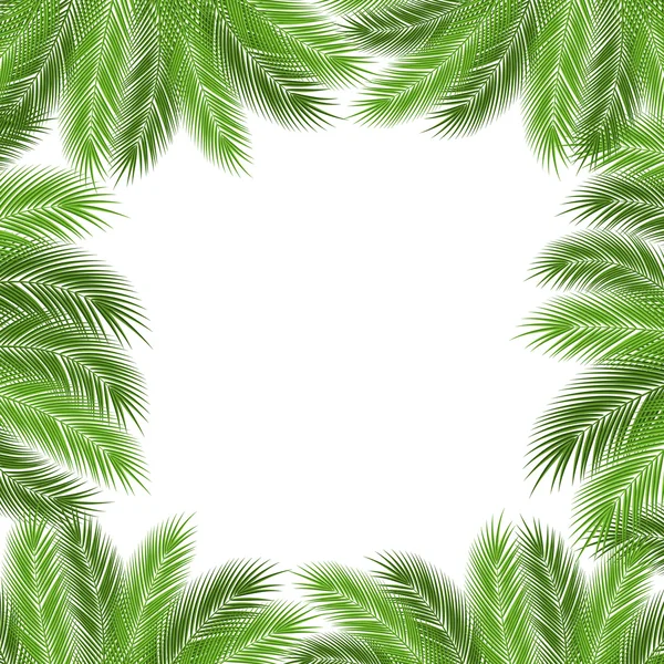 Leaves of palm — Stock Vector