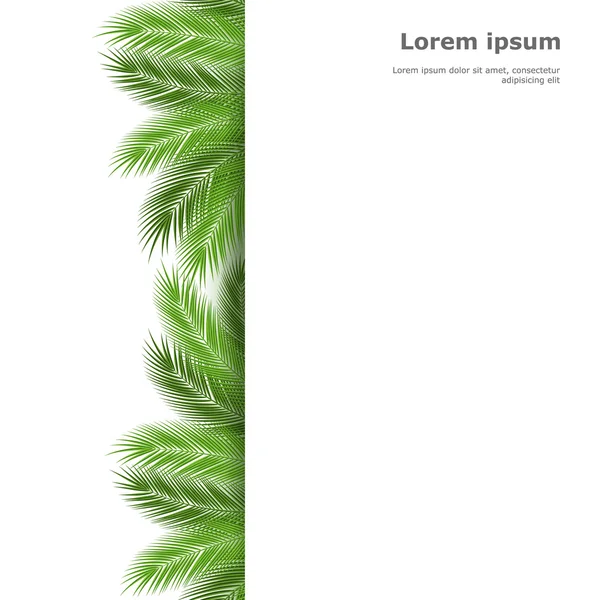 Palm template — Stock Vector