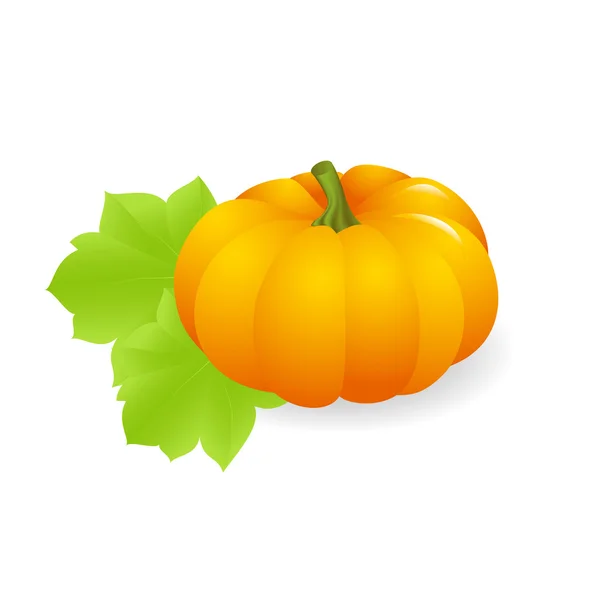 Pumpkin — Stock Vector