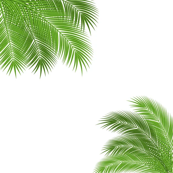 Cornice ramo di palma — Vettoriale Stock