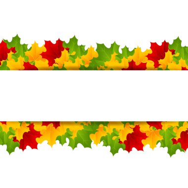 akçaağaç şablonu