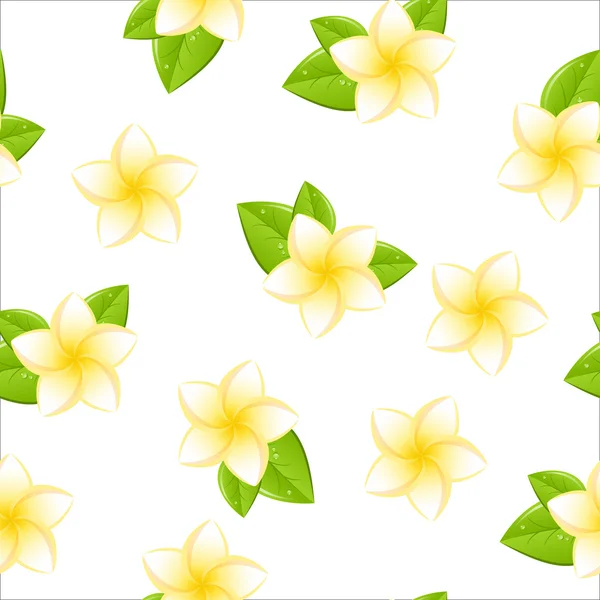 Frangipani sans couture — Image vectorielle