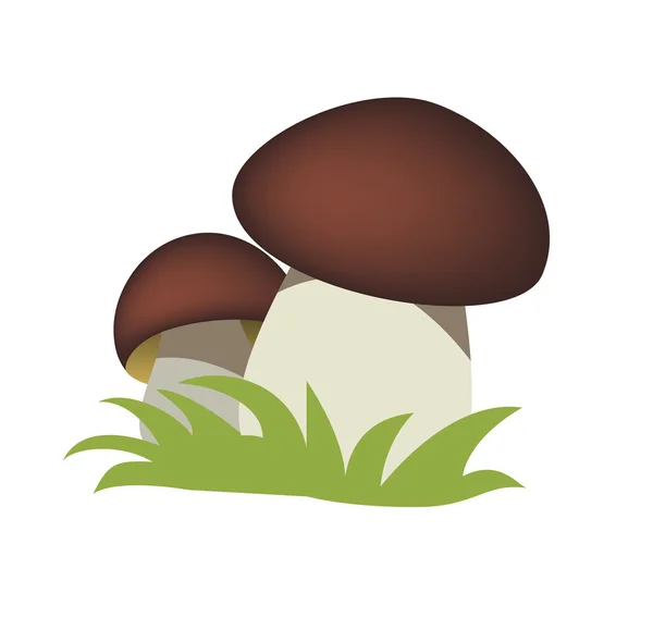 Mushrooms — Stock Vector