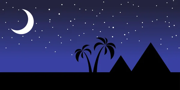 Egypt at night — Stock Vector