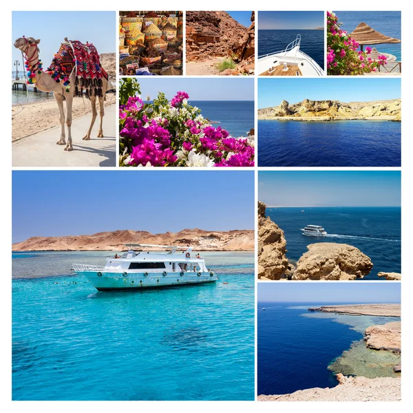 Memories from Egypt holiday — Stock Photo, Image