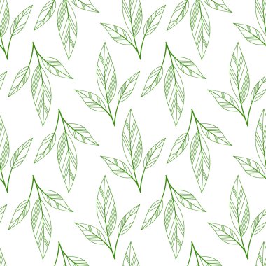 Yeşil sorunsuz yaprakları