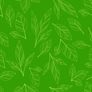 Yeşil sorunsuz yaprakları