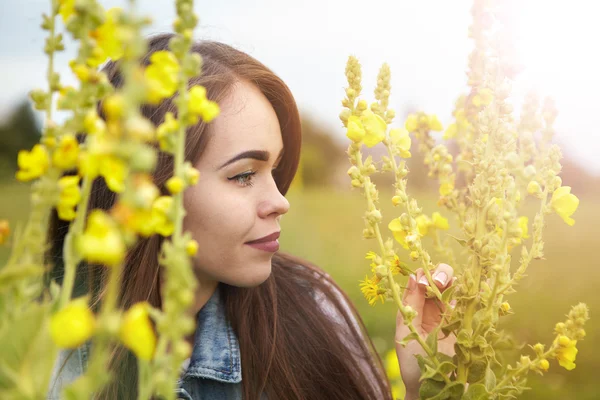 Vacker flicka i en äng på morgonen — Stockfoto