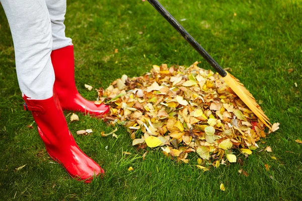 Hojas de otoño con rastrillo — Foto de Stock