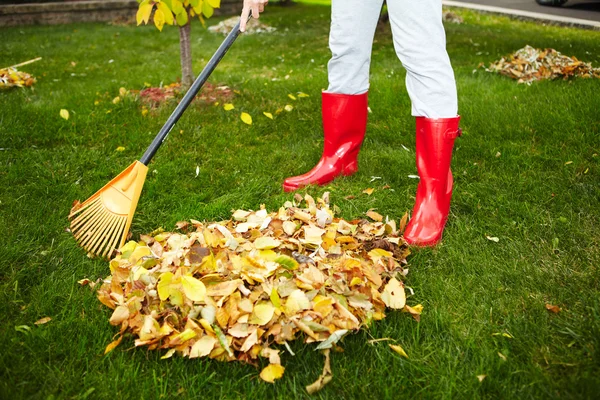 Foglie d'autunno con rastrello — Foto Stock