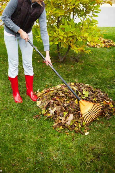 Hojas de otoño con rastrillo —  Fotos de Stock