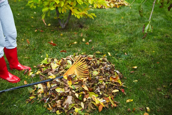 Hojas de otoño con rastrillo —  Fotos de Stock