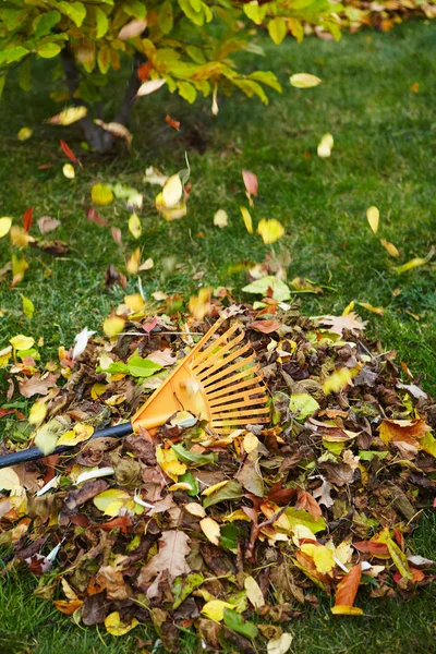 Hojas de otoño con rastrillo —  Fotos de Stock