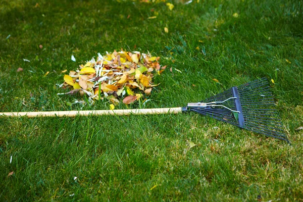 Foglie d'autunno con rastrello — Foto Stock