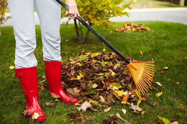 Foglie d'autunno con rastrello — Foto Stock