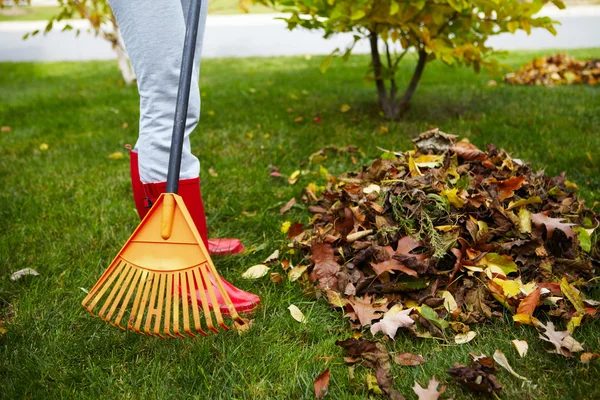 Foglie d'autunno con rastrello — Foto Stock