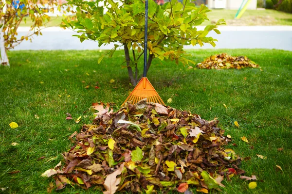 Herbstlaub mit Harke — Stockfoto