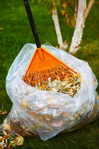 Fall leaves with rake — Stock Photo, Image