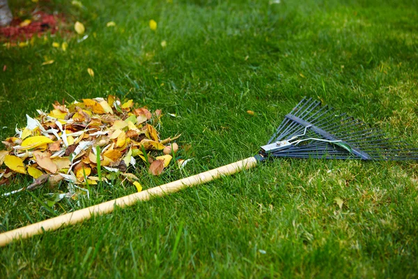 Höstlöv med rake — Stockfoto