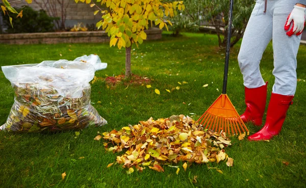 Foglie d'autunno con rastrello — Foto Stock