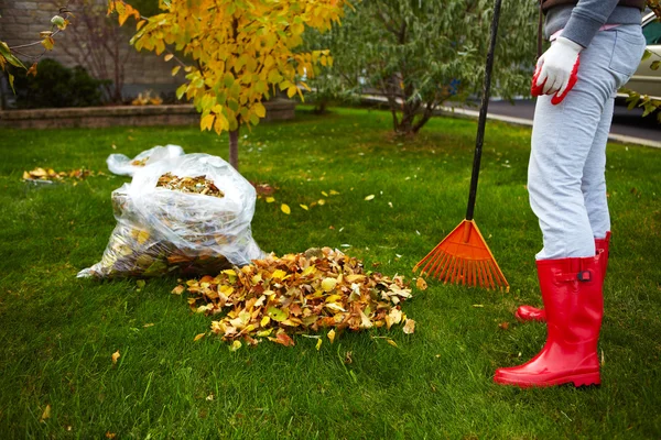 Foglie d'autunno con rastrello — Foto Stock