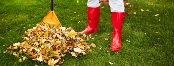 Foglie d'autunno con rastrello — Foto Stock