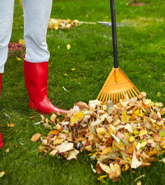 Hojas de otoño con rastrillo — Foto de Stock