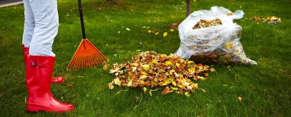 Foglie d'autunno con rastrello — Foto Stock