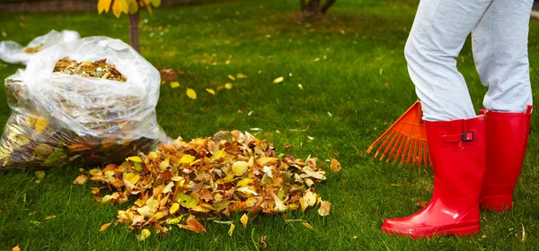 Foglie d'autunno con rastrello — Foto Stock