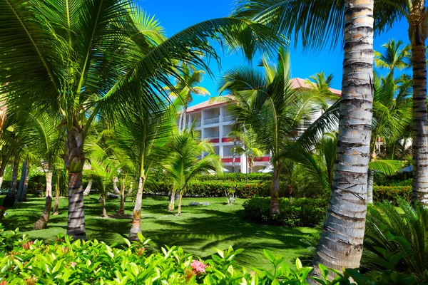Tropical resort. — Stock Photo, Image