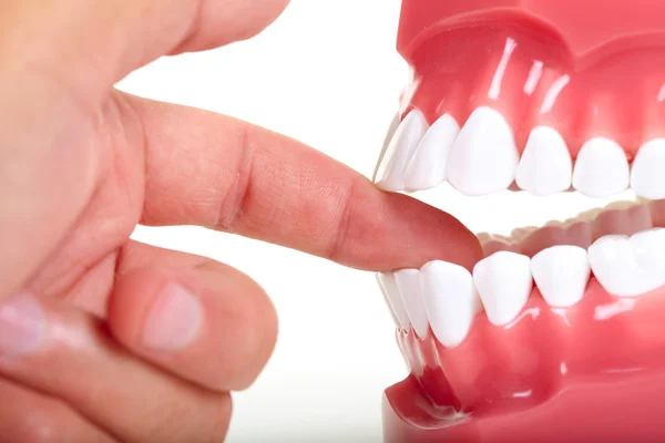 Fingers and teeth — Stock Photo, Image