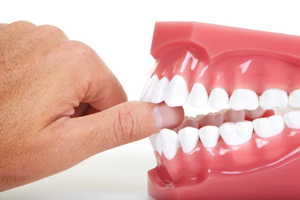 Palce i zęby — Zdjęcie stockowe