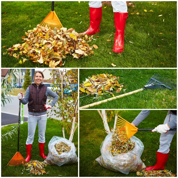 Fall leaves with rake — Stock Photo, Image