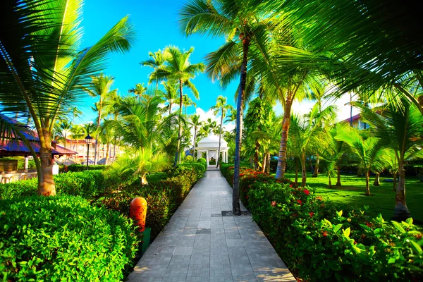 Tropical resort — Stock Photo, Image