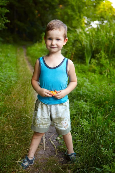 The little boy in the woods — Stock Photo, Image