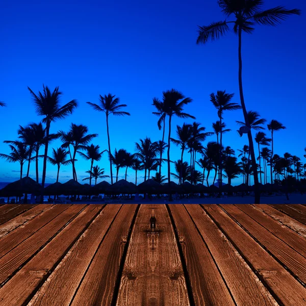 Palms on the beach — Stock Photo, Image