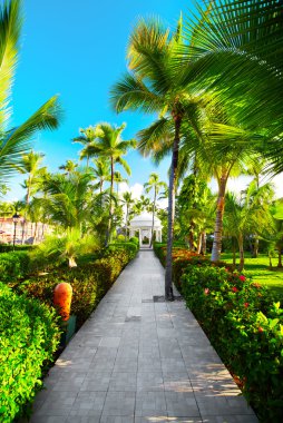 Motorlu tekne. Doğa