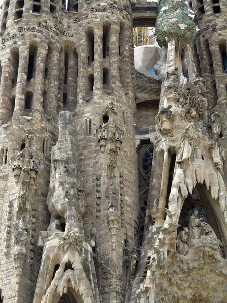 05.07.2016, Barcelona, Španělsko: Sagrada Familia církevní architectu — Stock fotografie