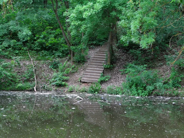 Old Staircase Descends Green Forest Abandoned Lake — Stock Photo, Image