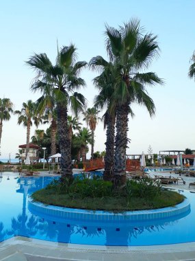 Tropikal bir otelde lüks mavi yüzme havuzu