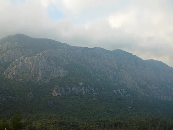 Niebla que cubre los bosques de montaña —  Fotos de Stock