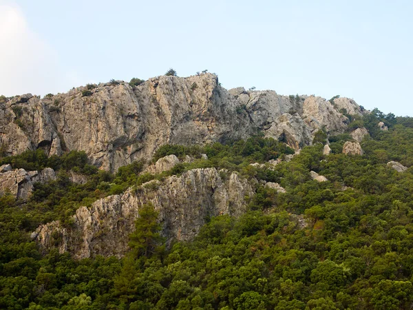 Rocky cliff, mountain trees and blue sky — Stock Photo, Image