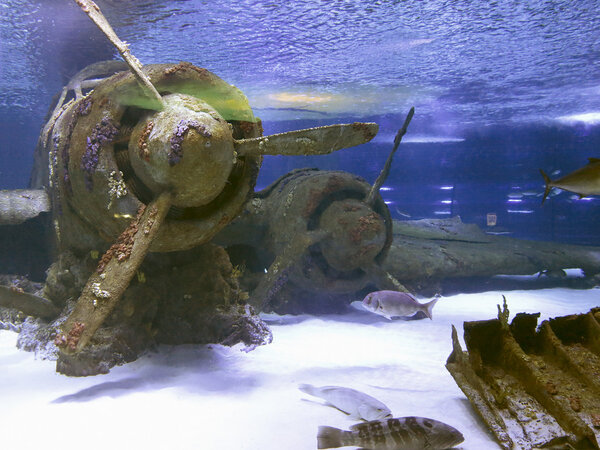 Утопленные винтажные самолеты на дне моря
