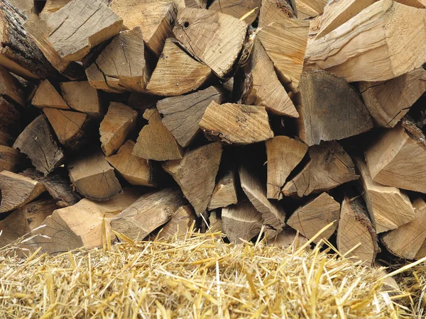 Background of dry chopped firewood logs and hay — Stock Photo, Image
