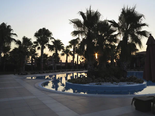 Luxury swimming pool and palms in the tropical hotel in the suns — Stock Photo, Image