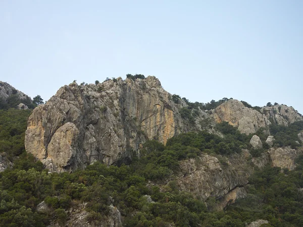 Скалистая скала, горные деревья и голубое небо — стоковое фото