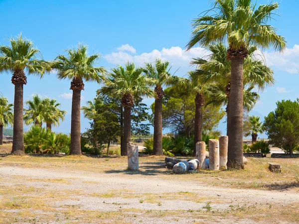 Ruinas de las antiguas columnas del templo, palmeras y cielo azul — Foto de Stock