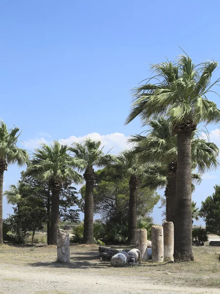 古代寺院の柱、ヤシの木、青空の遺跡 — ストック写真