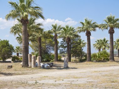 Harabeleri antik tapınak sütunların, palmiye ağaçları ve mavi gökyüzü
