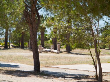 Yeşil ağaçların altında Antik tapınak sütun kalıntıları